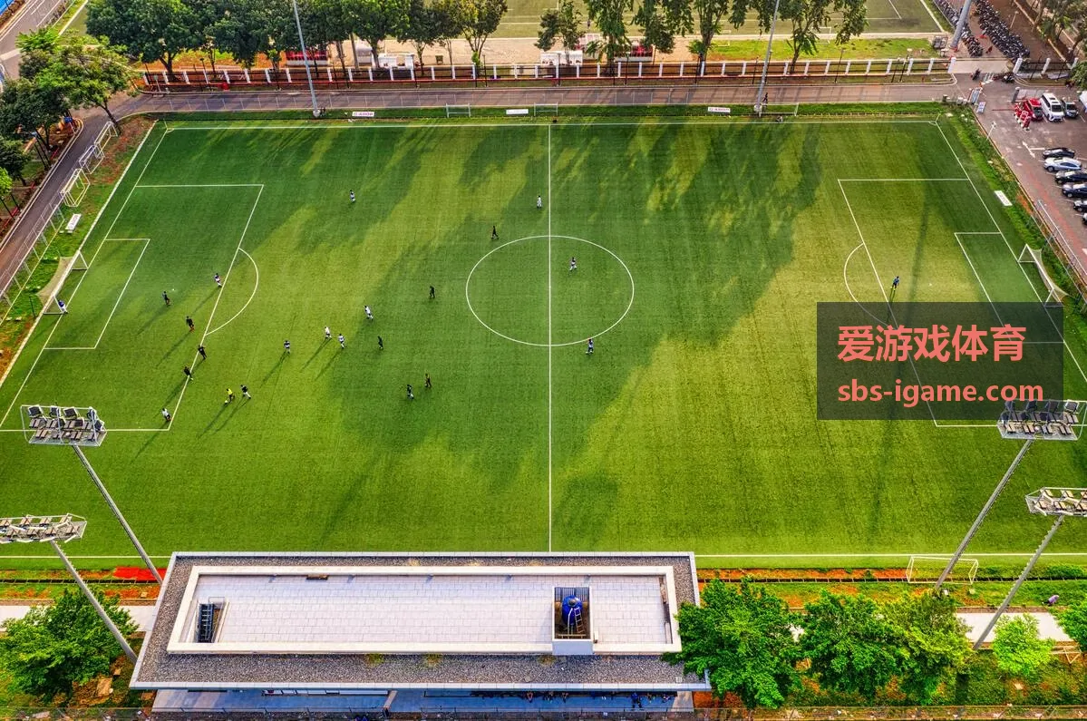 爱游戏体育足球世界专题解读